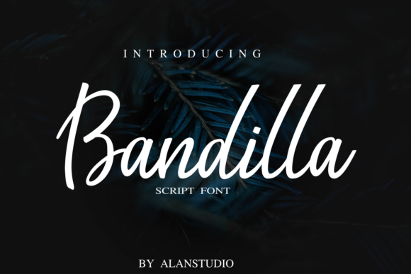 Bandilla: The Handwritten Font That Boosts Campaign Clarity