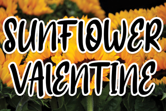 Sunflower Valentine Font for Modern Web Design
